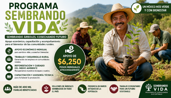 sembrando